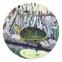 Painted Turtle Sticker