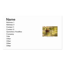 Painted Turtle with Attitude Business Card Template