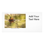Painted Turtle with Attitude Personalized Photo Card