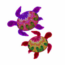 Painted Turtles 2-Sided Shirts