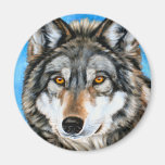 Painted Wolf Magnets