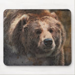 PaintedGrizzly-use Pad mousepads