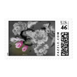 PaintedRose2 Postage Stamps