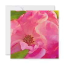 Painterly Abstract Pink Knock Out Rose Custom Invitations