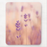 Painterly lavander Mousepad
