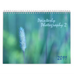 Painterly photography 2 - 2011 calendar