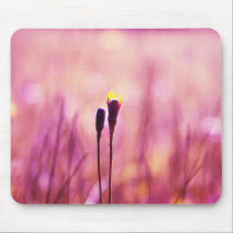 Painterly pink  Mousepad mousepads