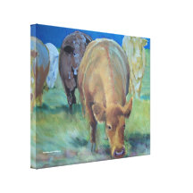 Painting of a herd of devon cattle gallery wrapped canvas