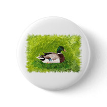 Painting of Mallard Duck sitting in the grass Pins
