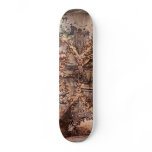 Painting on the Ceiling of Atotonilco Church Skate Board