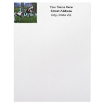 Paints at the Water Letterhead