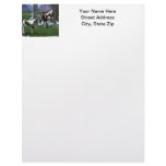 Paints at the Water Letterhead