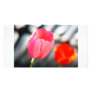 Painty Flower Picture Card