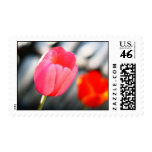 Painty Flower Stamps