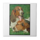 Pair Basset Hounds Tile