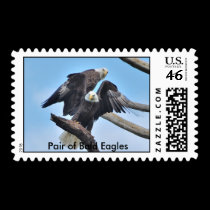 Pair of Bald Eagles stamps