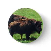 Pair of Buffaloes Button