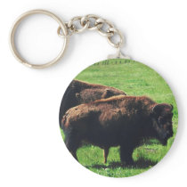 Pair of Buffaloes Key Chains