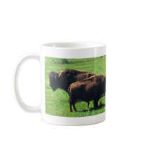 Pair of Buffaloes Coffee Mug