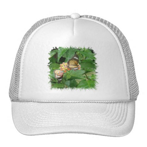 Pair of Butterflies Baseball Hat