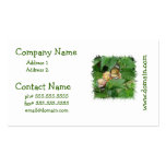 Pair of Butterflies Business Cards
