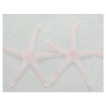 Pair of candy cane starfish from Palau Customized Letterhead