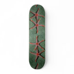 Pair of candy cane starfish from Palau Skate Board