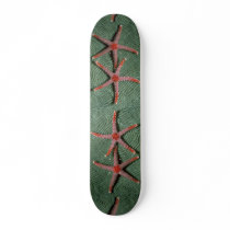 Pair of candy cane starfish from Palau Skate Board