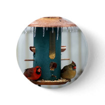 Pair of Cardinals at Icy BirdFeeder Pins