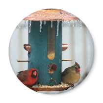 Pair of Cardinals at Icy BirdFeeder Magnets