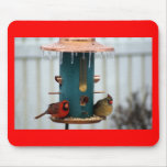 Pair of Cardinals at Icy BirdFeeder mousepads