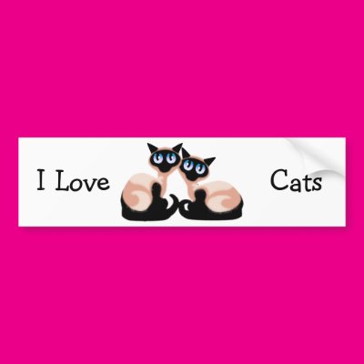 Pair of Cats s Zazzle_bumpersticker Pair of Cats s Zazzle_bumpersticker