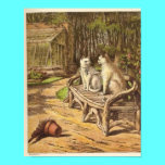 Pair of Cats posters
