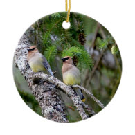 Pair of Cedar Waxwings Christmas Tree Ornaments