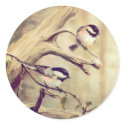 PAIR of CHICKADEES by SHARON SHARPE stickers by sharonsharpe PAIR of CHICKADEES by SHARON SHARPE stickers