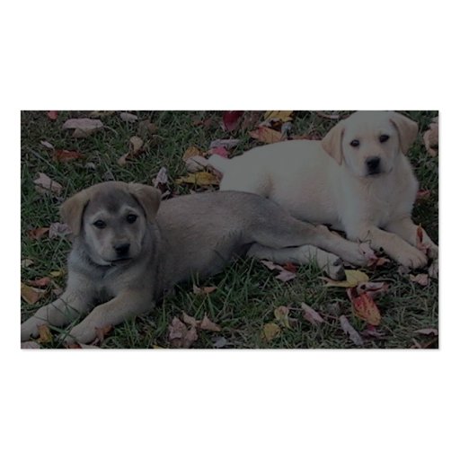 Pair Of Cute Puppies Laying On The Green Grass. Business Card (back side)