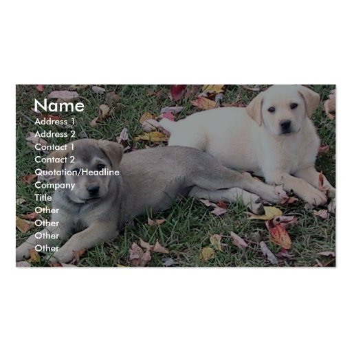 Pair Of Cute Puppies Laying On The Green Grass. Business Card