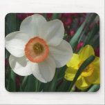 Pair of Daffodils Mousepad