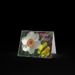 Pair of Daffodils Thank You Blank Card
