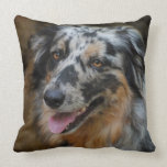 Pair of Dogs Classic Photo Pillow pillows