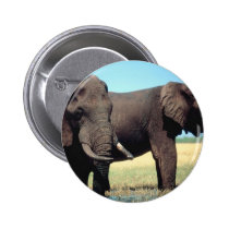 Pair of Elephants buttons