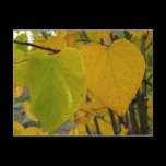 Pair of Fall Redbud Leaves Postcard