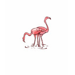 Pair of Flamingos t-shirts