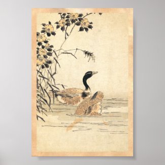 Pair of Geese with Camellias vintage japanese art Posters