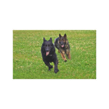 Pair of German Shepherds Gallery Wrapped Canvas