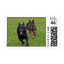 Pair of German Shepherds Postage Stamps