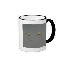 Pair of gold earrings, Liao Dynasty Coffee Mug