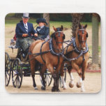 pair of horses pulling carriage mousepad