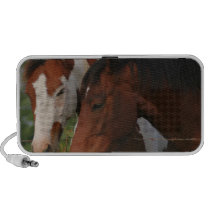 Pair of Horses Speakers