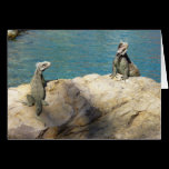 Pair of Iguanas Card